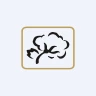 ABCOTS