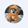 DOGUSD