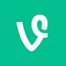 VINEUSDT