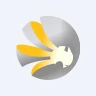 MSV