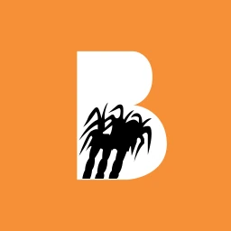BALRAMCHIN
