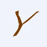 YGR