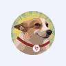 SUNDOGUSDT