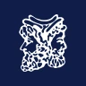 JBI