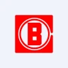81