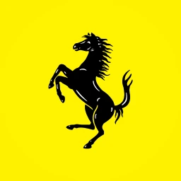 RACE