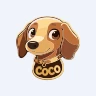 COCOUSDT
