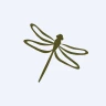 CHR
