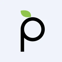 PLMK